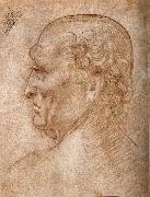 Master of the Pala Sforzesca, profile of an old man, LEONARDO da Vinci
